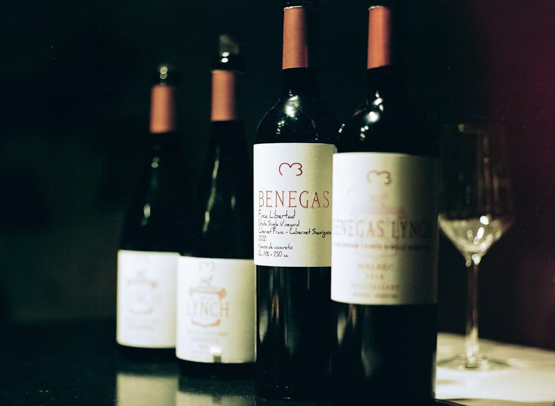 Wine bottles in a dark cellar collection